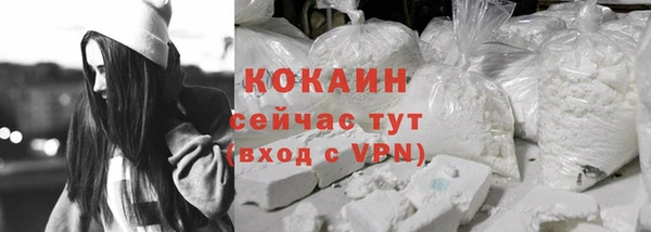 гидра Бородино