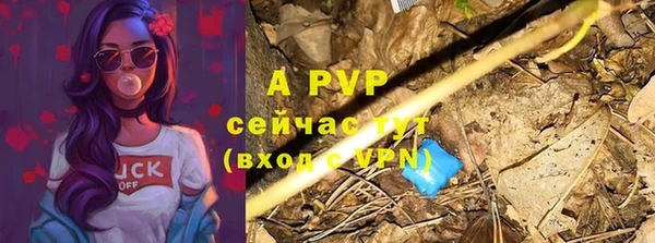 гашик Богородицк
