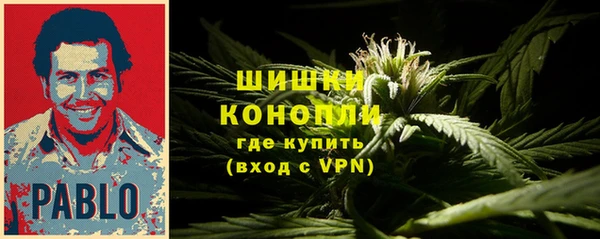 гашик Богородицк