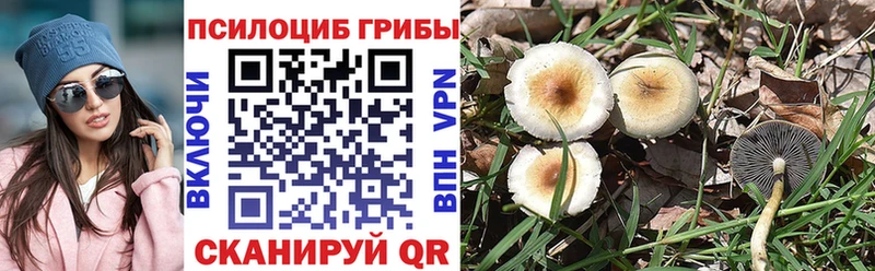 Псилоцибиновые грибы MAGIC MUSHROOMS  сайты даркнета формула  Новоржев 