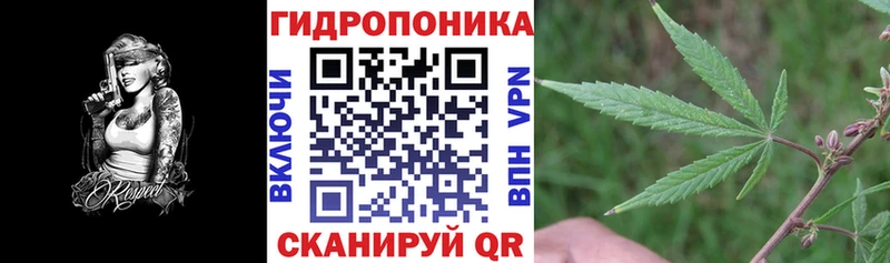 закладка  Новоржев  ОМГ ОМГ как зайти  Конопля SATIVA & INDICA 